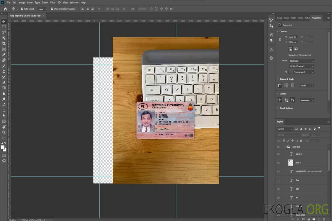 Photolook du permis de conduire du Liechtenstein DEVANT template Photolook du permis de conduire du Liechtenstein DEVANT template